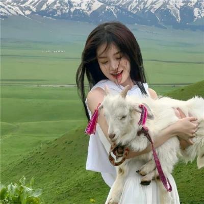 亲爱的总理