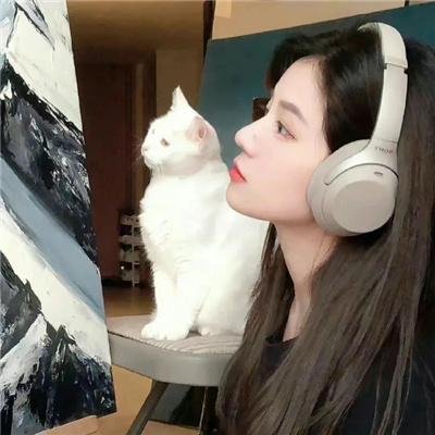 乌蒙深处