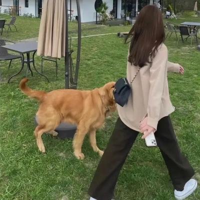飞毛腿